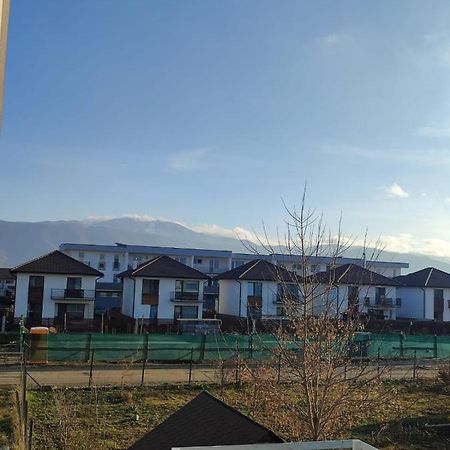 Ghimbav Marina'S House 아파트 외부 사진