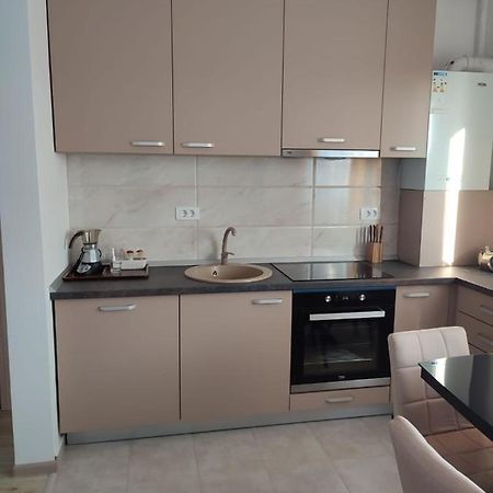 Ghimbav Marina'S House 아파트 외부 사진