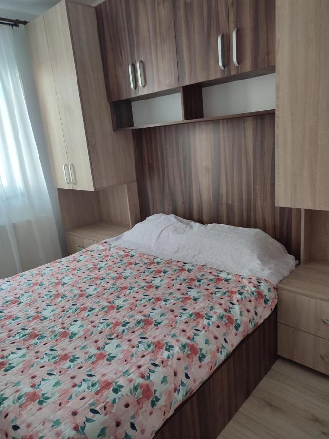 Ghimbav Marina'S House 아파트 외부 사진
