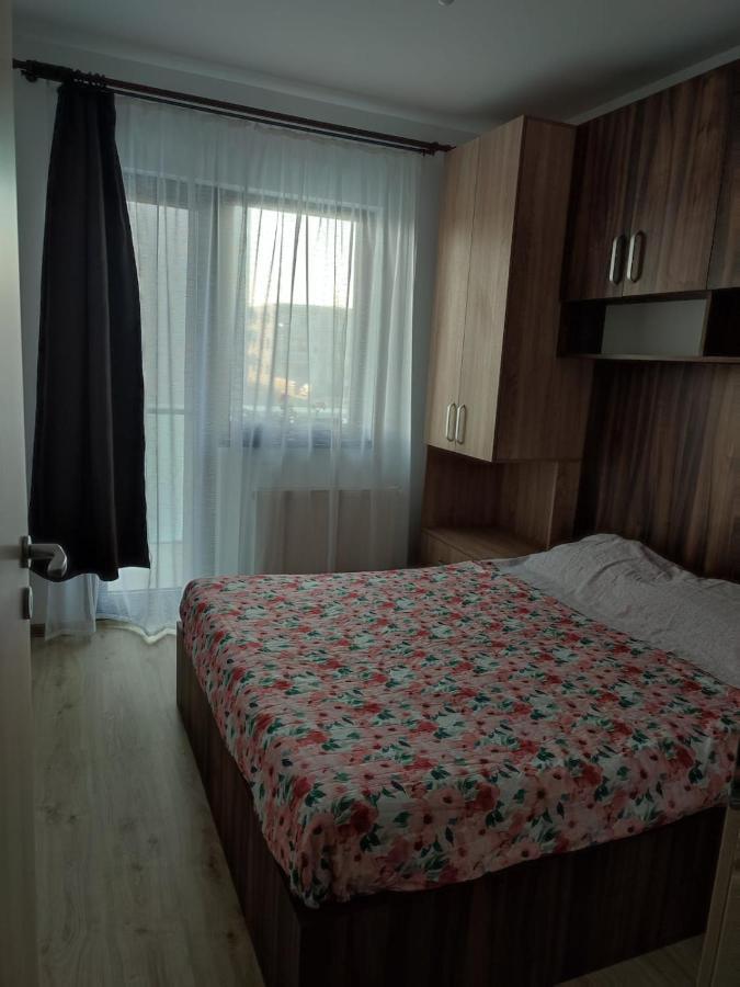Ghimbav Marina'S House 아파트 외부 사진