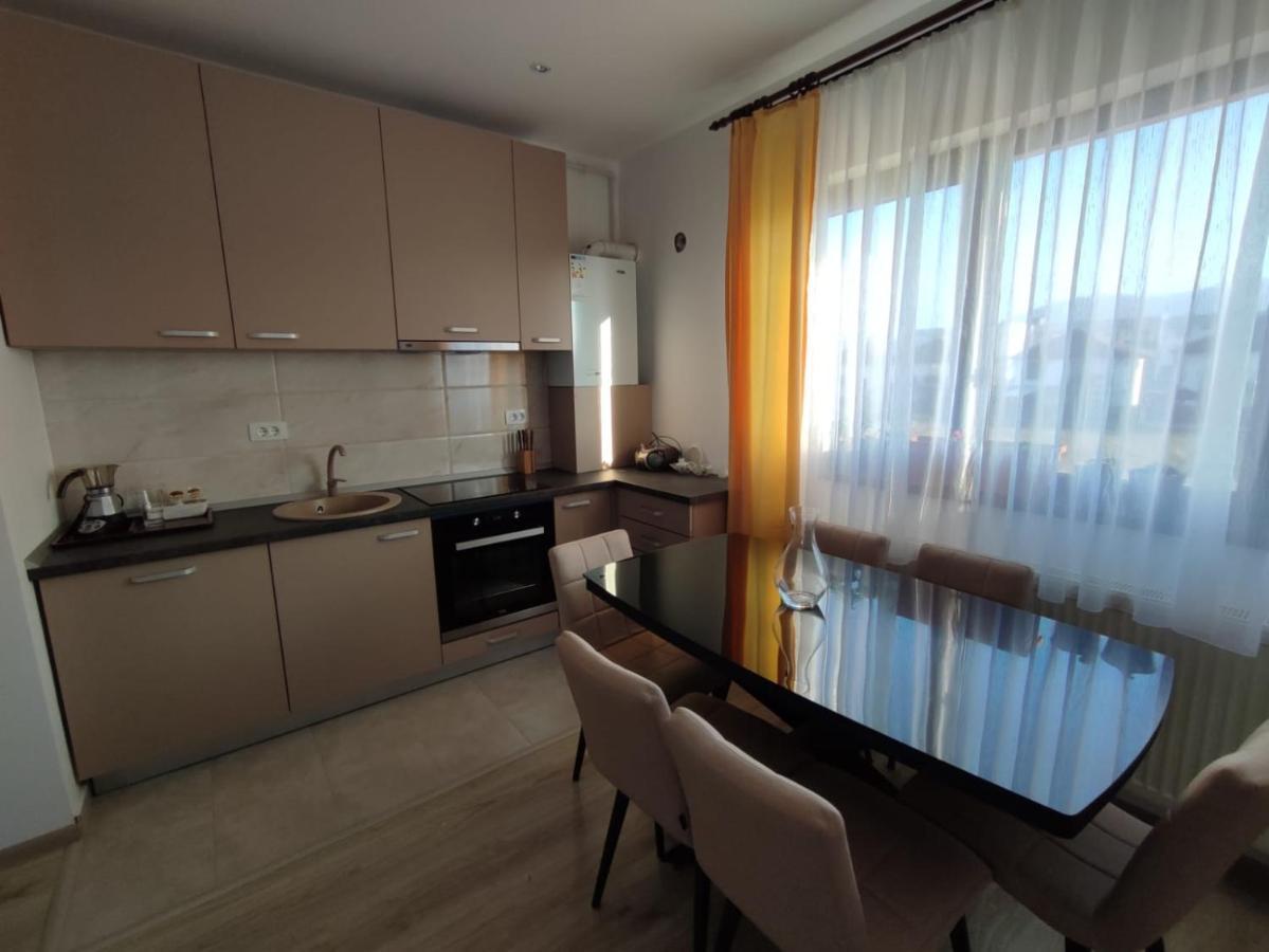 Ghimbav Marina'S House 아파트 외부 사진